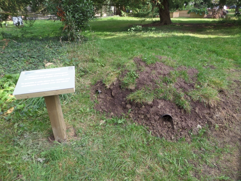 Victoria Square Community Garden